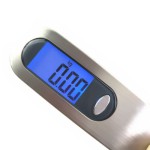 Digital Hanging Weight Scale